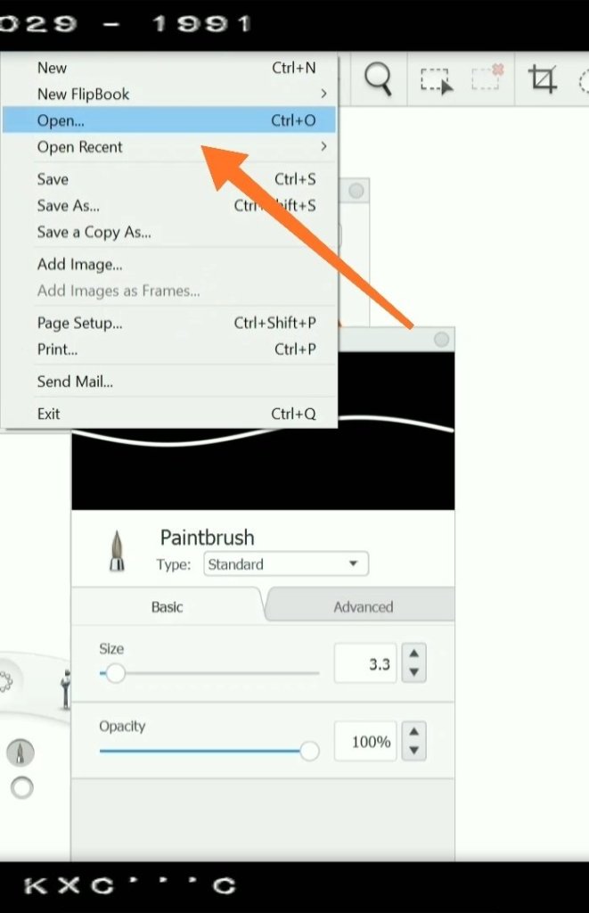 digital illustration