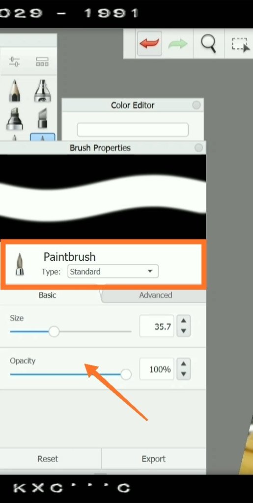 Paint brush SketchBook